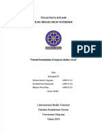 PDF Ekstirpatio Bulbus Oculi DL