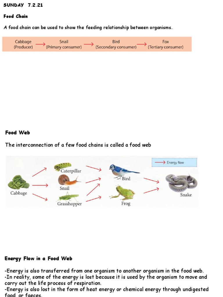 Chapter 2 Notes 7.2.21 | PDF
