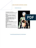 qdoc.tips_localizacion-puntos-de-acupuntura-completo