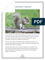 Primary Worksheets: Squirrel