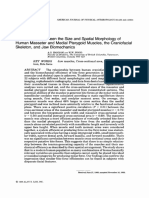 Relationships Between the Size and Spatial Morphology of human Masseter and medial Pterygoid muscles- the Craniofacial skelton and jaw mechanics.pdf مهم جدا