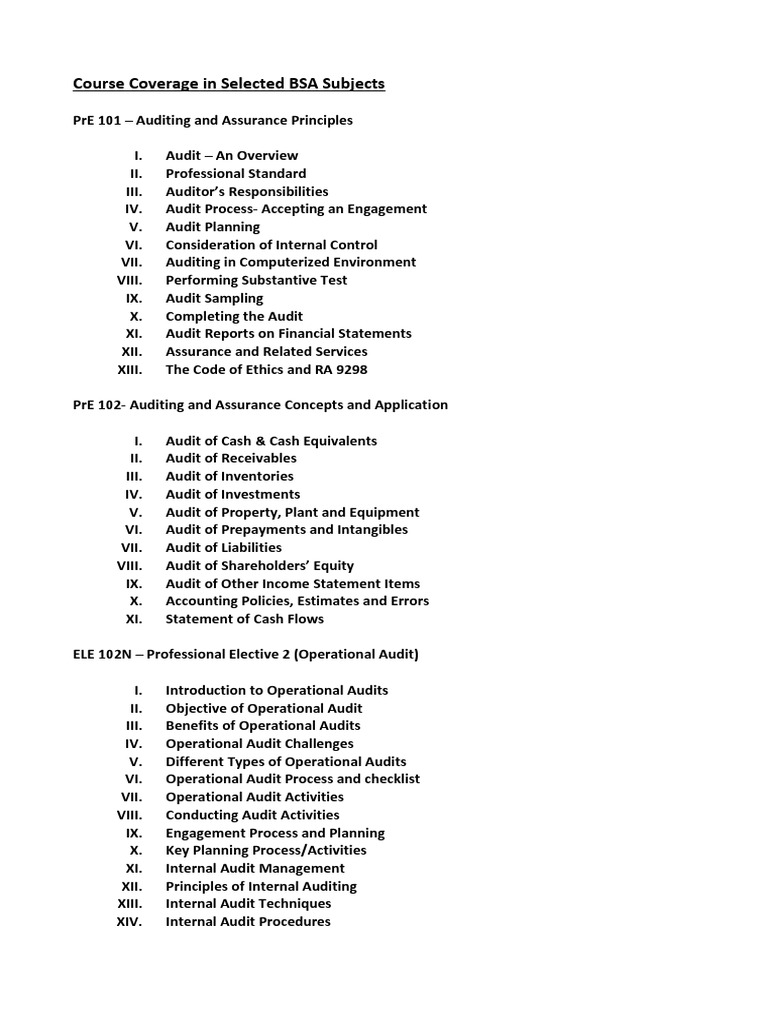 Auditing Course Syllabus Overview | PDF