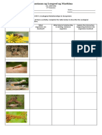 Activity 5 - Template - Ecological Relationships