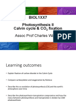Biol1Xx7 Photosynthesis II Calvin Cycle & CO Fixation: Assoc Prof Charles Warren