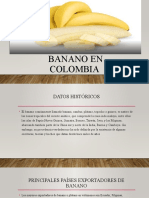 Exportación de banano en Colombia: datos históricos y análisis