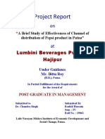 Project Report: Lumbini Beverages Pvt. LTD Hajipur