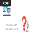 What Is Sap Abap Data Dictionary (SE11)