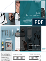 6.2 D Protein Synthesis: Contoso