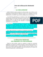 Fundamentos de la Educación Ambiental y la crisis ecológica