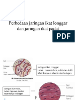 Perbedaan Jaringan Ikat Longgar Dan Jaringan Ikat Padat