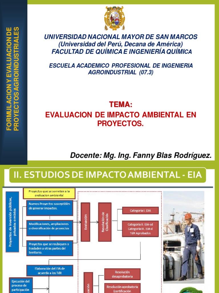 Evaluación de Impacto Ambiental en Proyectos | PDF | Evaluación de ...