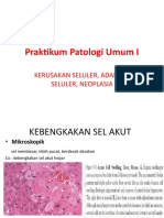 Praktikum Patologi Umum I