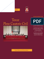 Tercer Pleno Casatorio Civil 2010