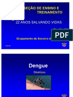 dengue_2008_pdf