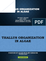 Thallus Organization in Algae: DR Pinky Prasad Asst. Prof. Department of Botany Patna Women'S College