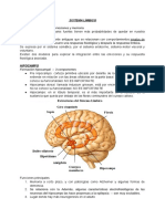 Sistema Límbico