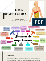 Análise Da Acessibilidade de Documento Digital