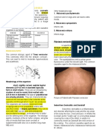 Superficial Mycoses Guide