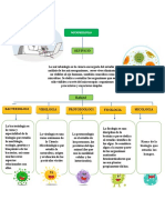 MICROBIOLOGIA Mapa Mental