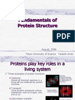 Fundamentals of Protein Structure