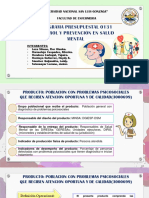 PP Expo Presupuestal - Grupo N°2 Salud Mental