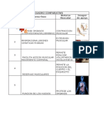 Cuadro Comparativo