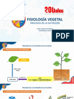 Fisiología Vegetal: Procesos de La Nutrición