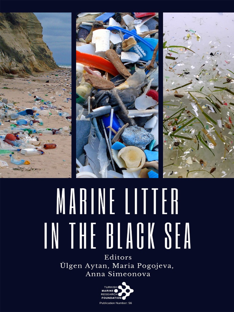 ポスター MarineLitterintheBlackSea TUDAV | PDF | Sea | Coast