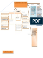 Mapa Conceptual EL LIBRO Y LAS BIBLIOTECAS EN LA EDAD MEDIA