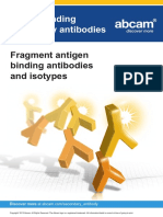 Fragment Antigen Binding Antibodies and Isotypes