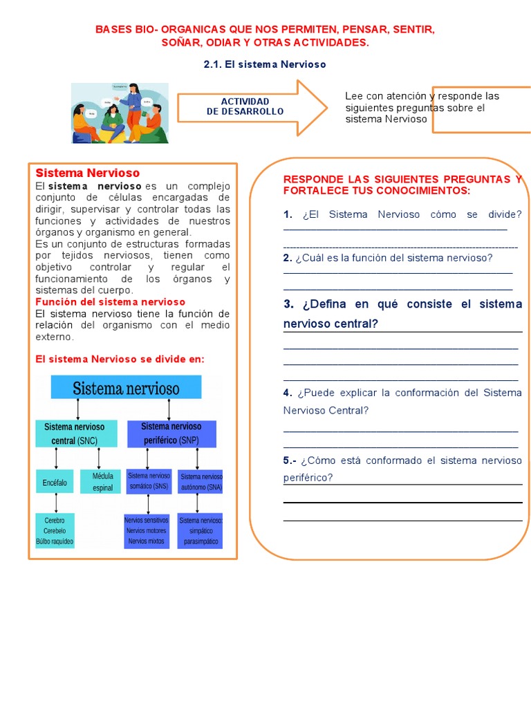 Bases Bio | PDF