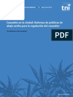 Cannabis en La Ciudad - Informe de Políticas de Drogas 2019.