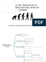 El Papel Del Trabajo en La Transformacion