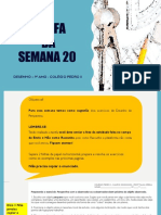 9 Ano - Tarefa Semana 20 - Perspectiva de Observação