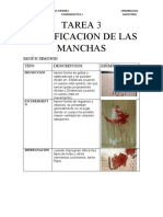 CLASIFICACION DE LAS MANCHAS