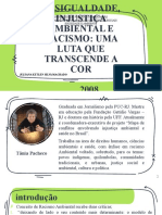 Desigualdade, Injustiça Ambiental: Uma Luta Que Transcende A Core Racismo TANIA PACHECO