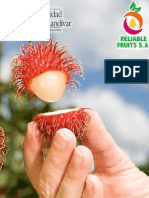 Informe Practica Reliable Fruits S.A.