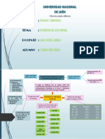 TM - SM01 - Perez Chuque Edgar Brayan - Mapa