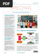 Brechas genero