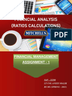 Financial Analysis (Ratios Calculations)