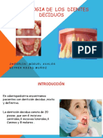 Morfología de los dientes deciduos