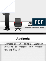 Auditoria Tributaria I