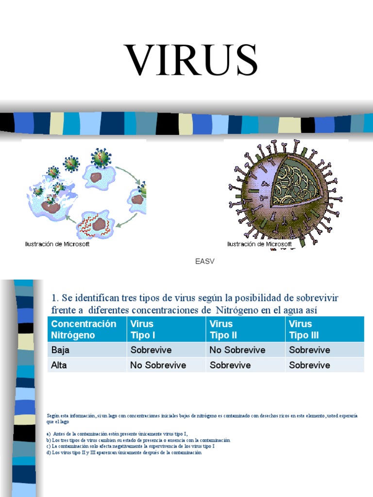 Tipos y Características de Virus | PDF | Virus | Las bacterias