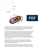 Sel Eukariot Dan Prokariot