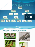 Dokumen - Tips Kunci-Determinasippt