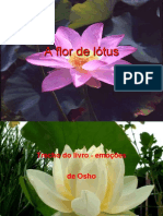 A Flor de Lotus