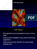 Cell+Structure 1