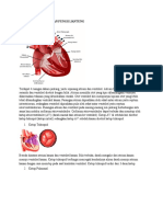 Struktur Anatomi Dan Fungsi Jantung
