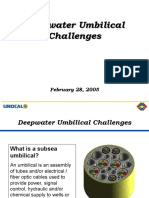 Deepwater Umbilical Challenges