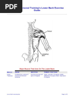 Ultimate Personal Training's Lower Back Exercise Guide: Major Muscle That Acts On The Lower Back